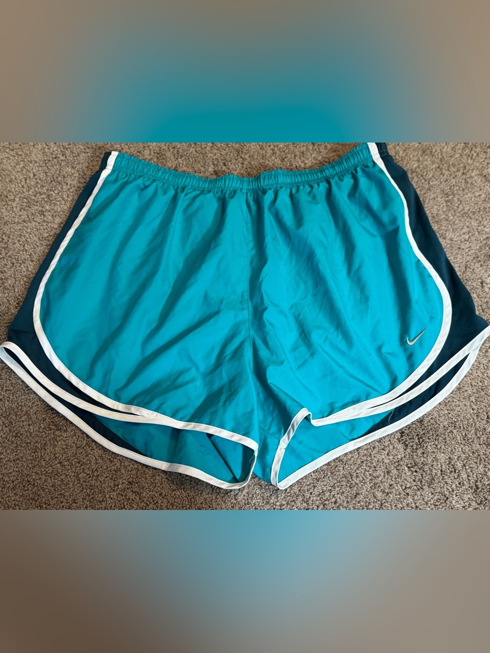Nike Teal Dri-Fit Shorts  Size XL